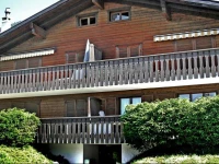 Apartment Les Pins B Chesieres