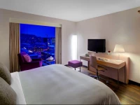 Renaissance Zurich Tower Hotel, A Marriott Luxury & Lifestyle Hotel