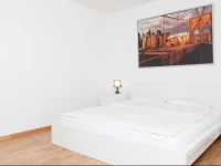 Swiss Star Apartments