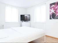 Swiss Star Guesthouse District 4