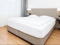 Swiss Star Longstreet