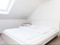 Swiss Star Marc Aurel