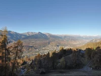 Apartment Bellevue RF9-7