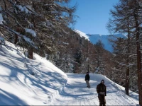 Appartements MГ©lГЁzes K