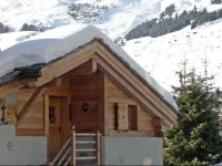 Apartment Boule de Neige Verbier