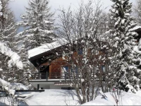 Apartment Le Loup Blanc Verbier