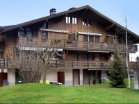 Apartment Wilderswil Wilderswil