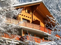 Apartment Argentiere Villars-sur-Ollon