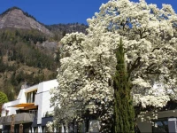 Chateau SchГјpbach