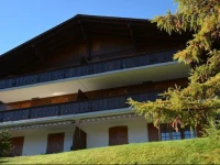 Two-Bedroom Apartment Hornflue