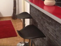 Residence Luxurious GenГЁve