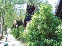 Chernomorec tourist base Sochi