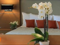 Elektra Hotel & Spa 3*