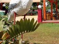 Kos Island Studios 1*