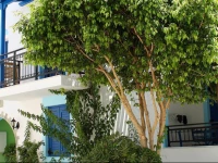 Katerina Roza Studios