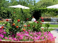 Cathrin Apartments & Studios 1*