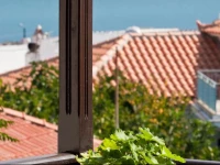 Sofias Garden Studios