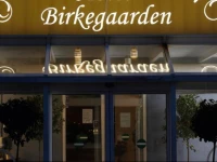 Hotel Birkegaarden 3*
