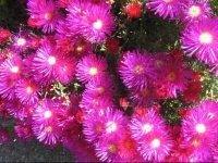 Liosderrig House B&B