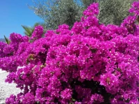 Azul Arenas Andalucia