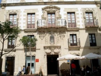 Casa Palacio de los Leones