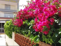 Hotel Fin De Semana 1*