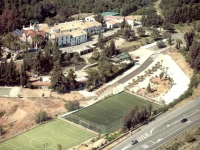 Abetos del Maestre Escuela