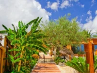 Tenuta Di Roccadia 3*