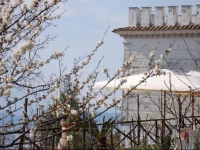 B&B La Torretta Bianca