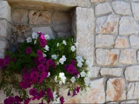 Bed & Breakfast La Collinetta 1*