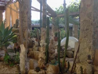 Felline In Bed&Breakfast