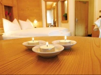 Alphotel Taller Wellness & Sport 4*