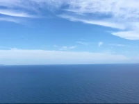 Holidays Fico DIndia