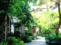 Chaba Cabana Beach Resort 4*