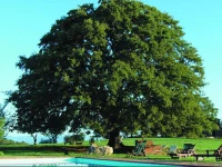 Agriturismo Bio Le Macchie Alte