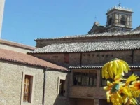 Marchesi Di Roccabianca