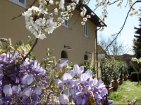 Chianti Promotion Hotel Calzaiolo 2*