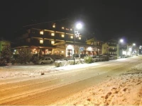 Brauhotel Martinerhof 3*