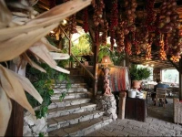 Fattoria Terranova Agriturismo 