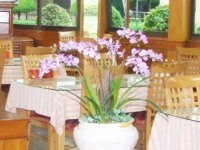 Dynasty Resort Pattaya 3*