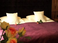 Hotel Niepołomice 3*