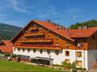 Hotel Meta Resort & Vine SPA 3*