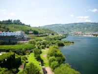 Douro River Hotel and Spa 4*
