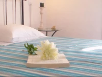 Casa De Campo Monreal