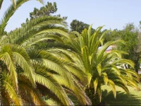 Quinta Do Moinho De Vento