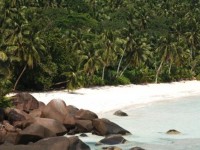 Silhuette Island Lodge 4*