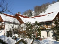 Pension Mama Cozonacilor 3*