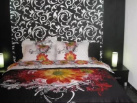 Central Apartment Brasov 3*