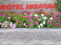 Indiana Hotel 3*
