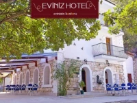 Eviniz 